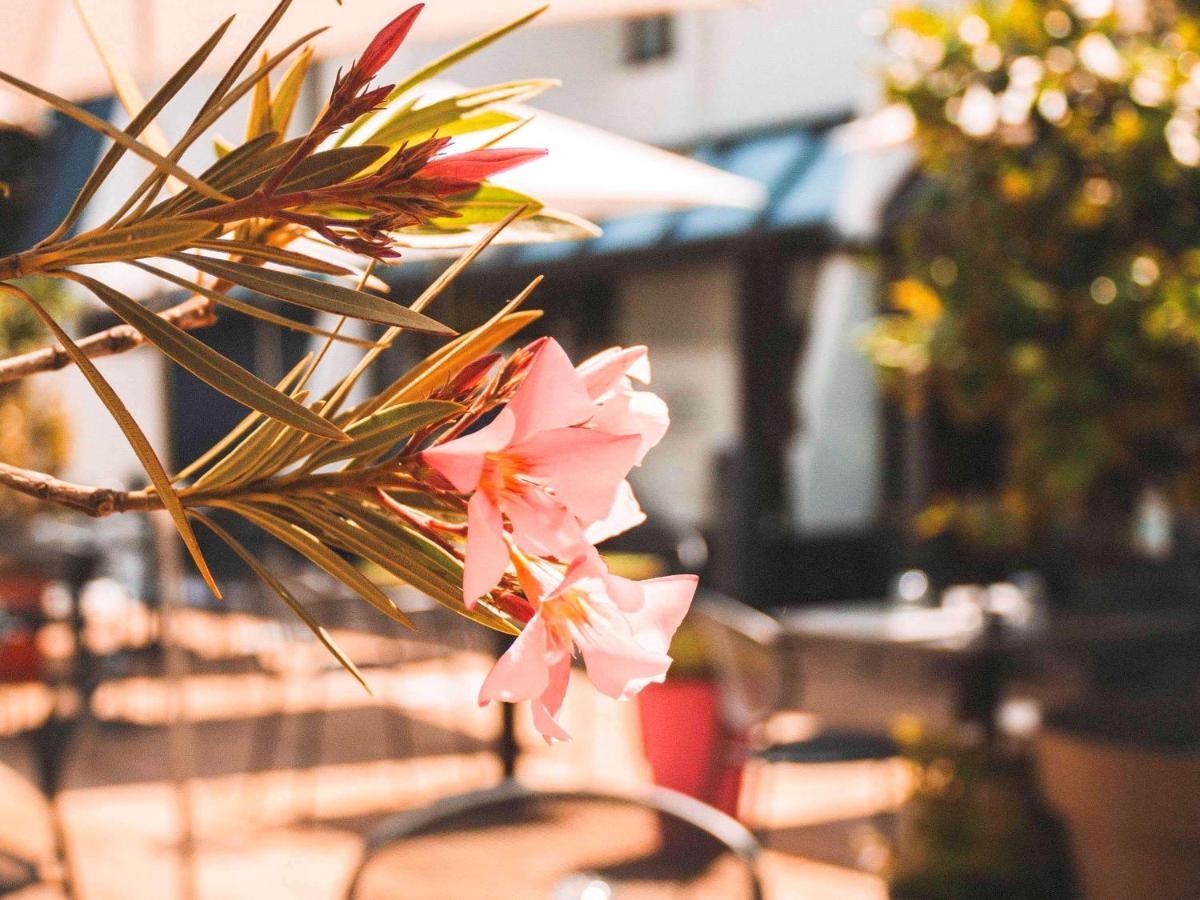 Ibis Styles Toulouse Labege Hotel Ngoại thất bức ảnh